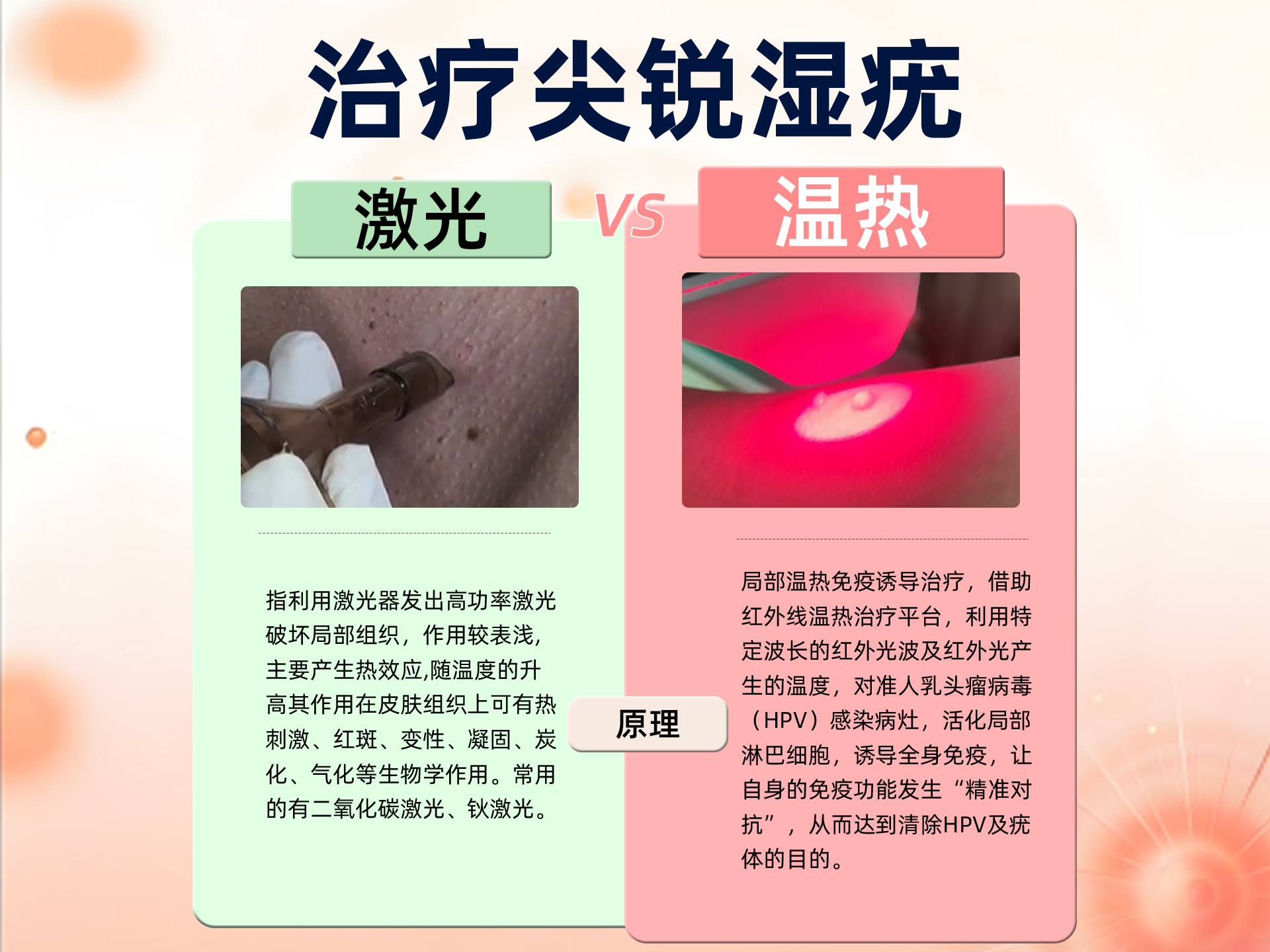微信图片_20260105172634_999_457.jpg