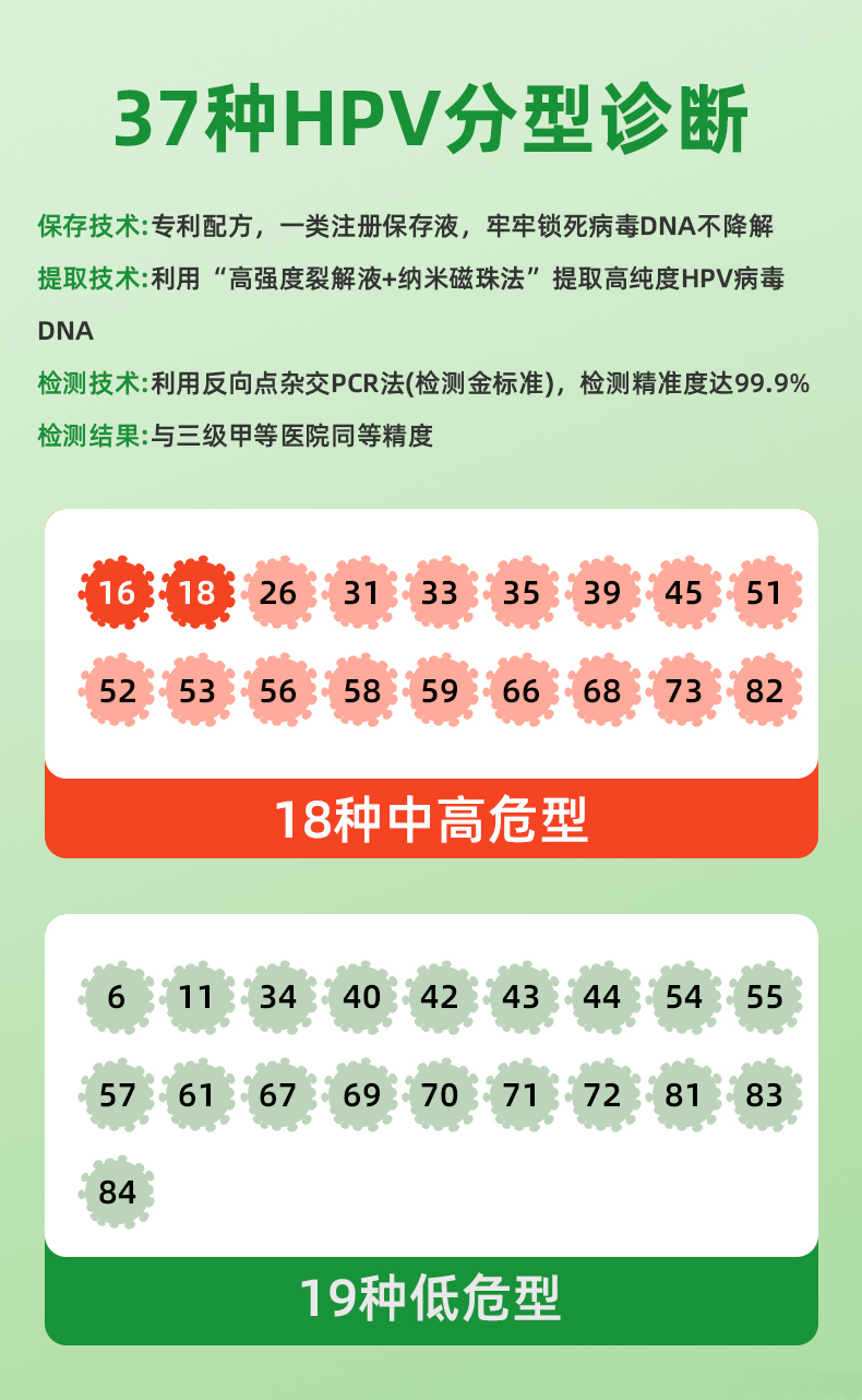 HPV分型检测绿色版_13.jpg
