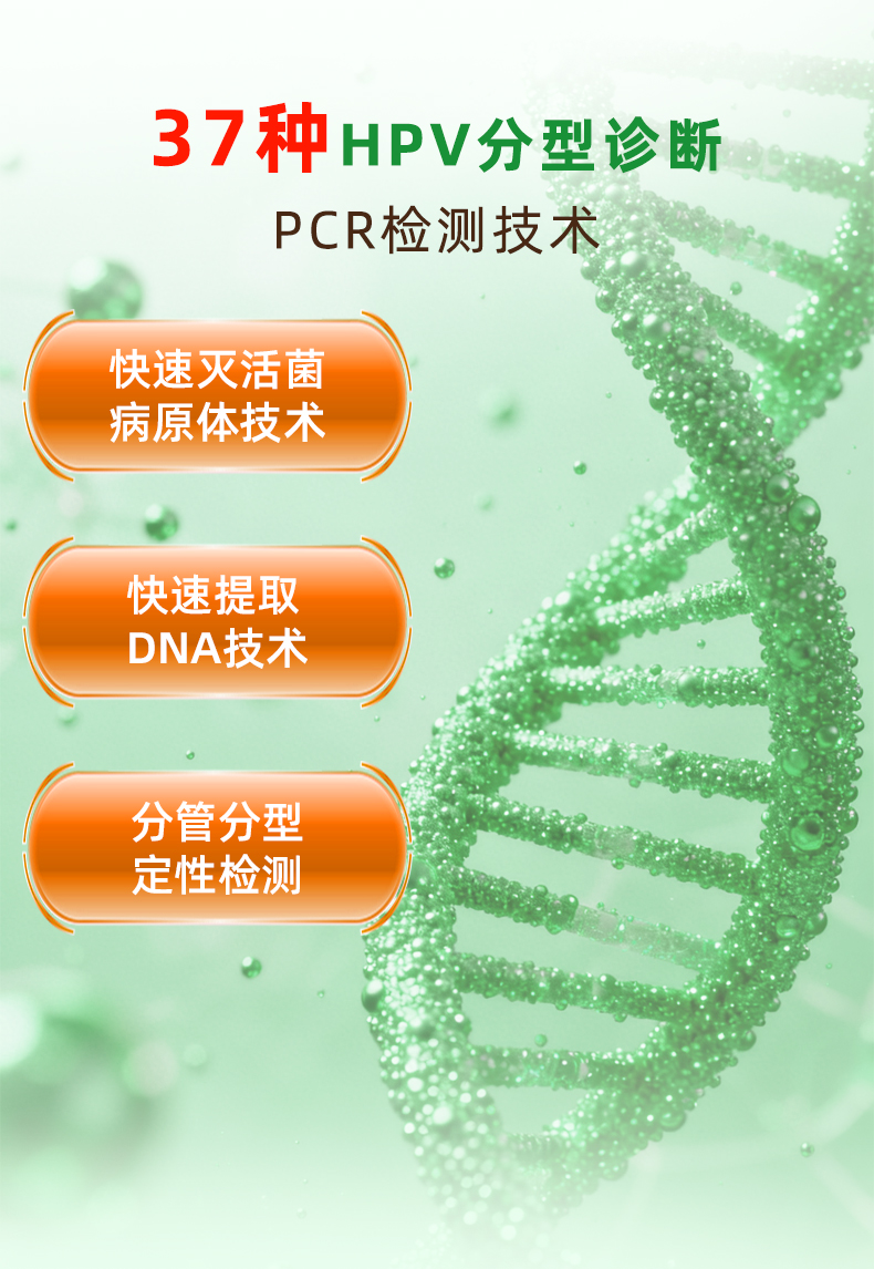 HPV分型检测绿色版_14.jpg